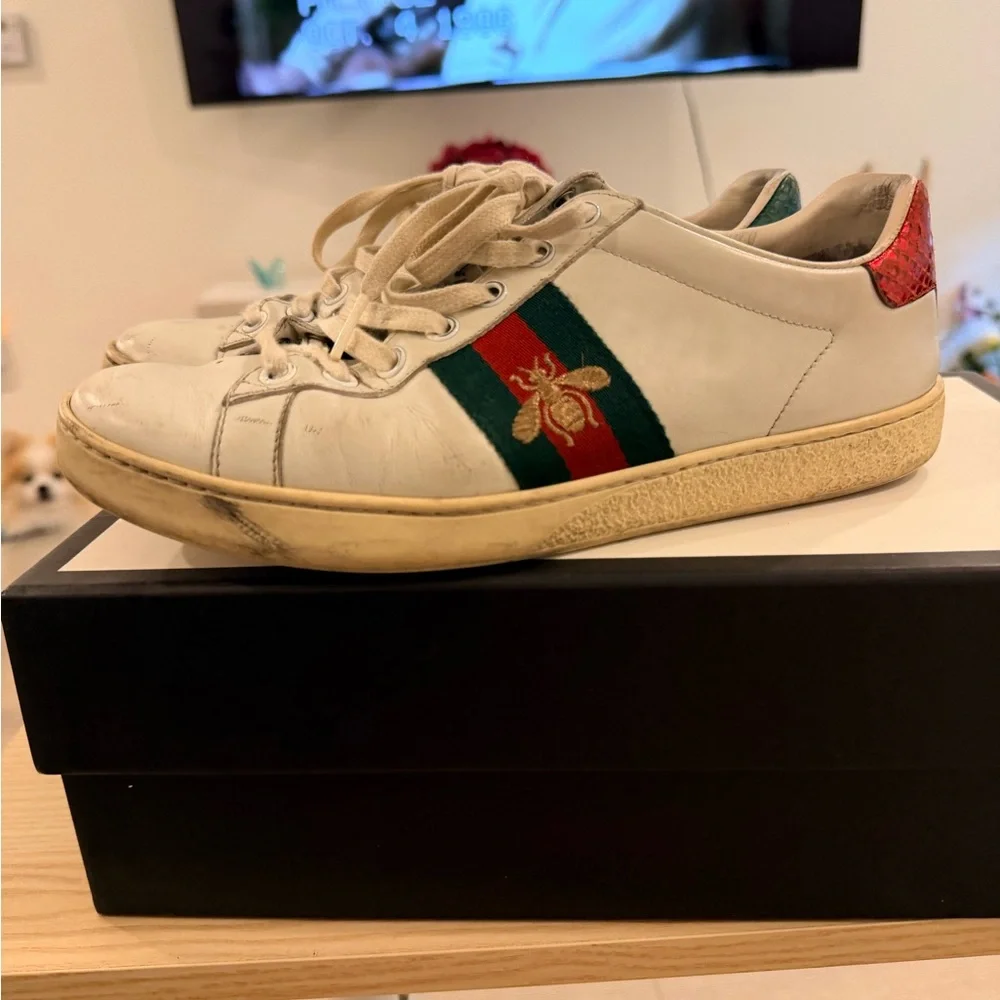 White Leather Sneaker with Red & Green Stripe and Embroidered Bee - Picture 4 of 6